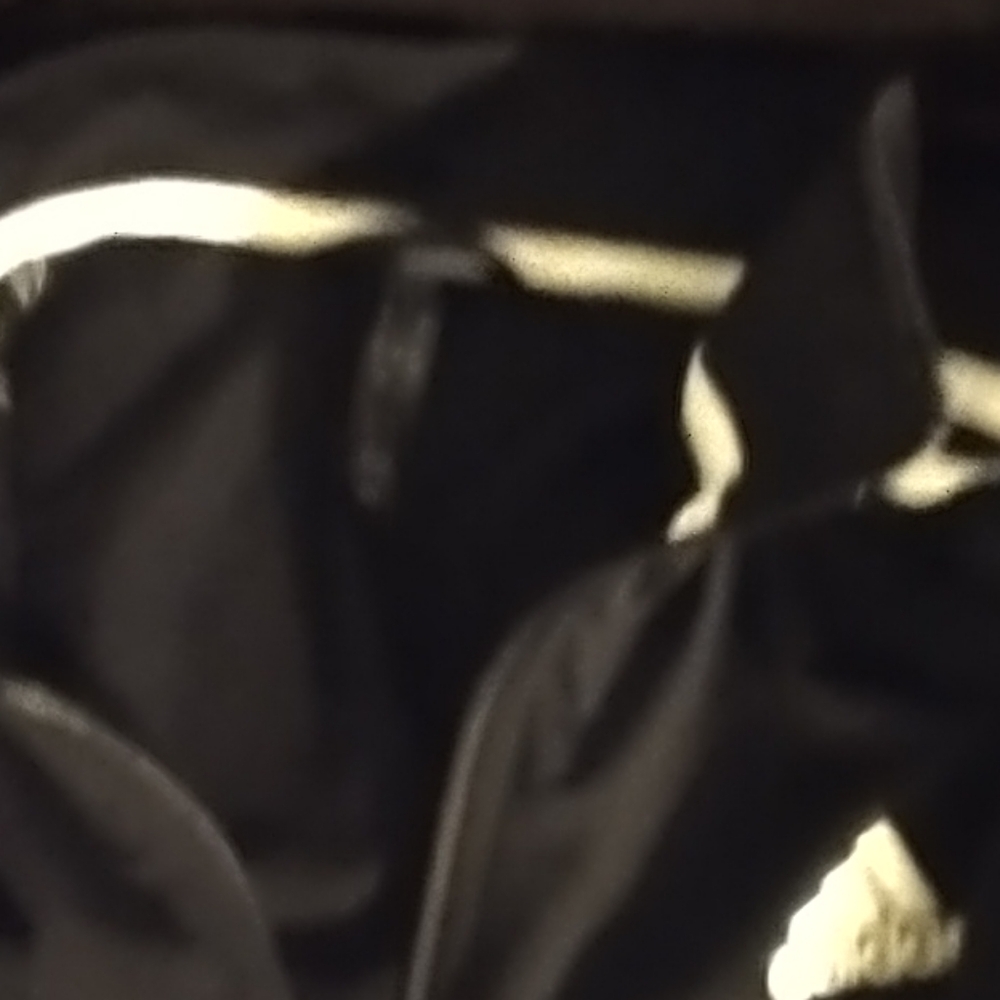 Back Adidas track jacked